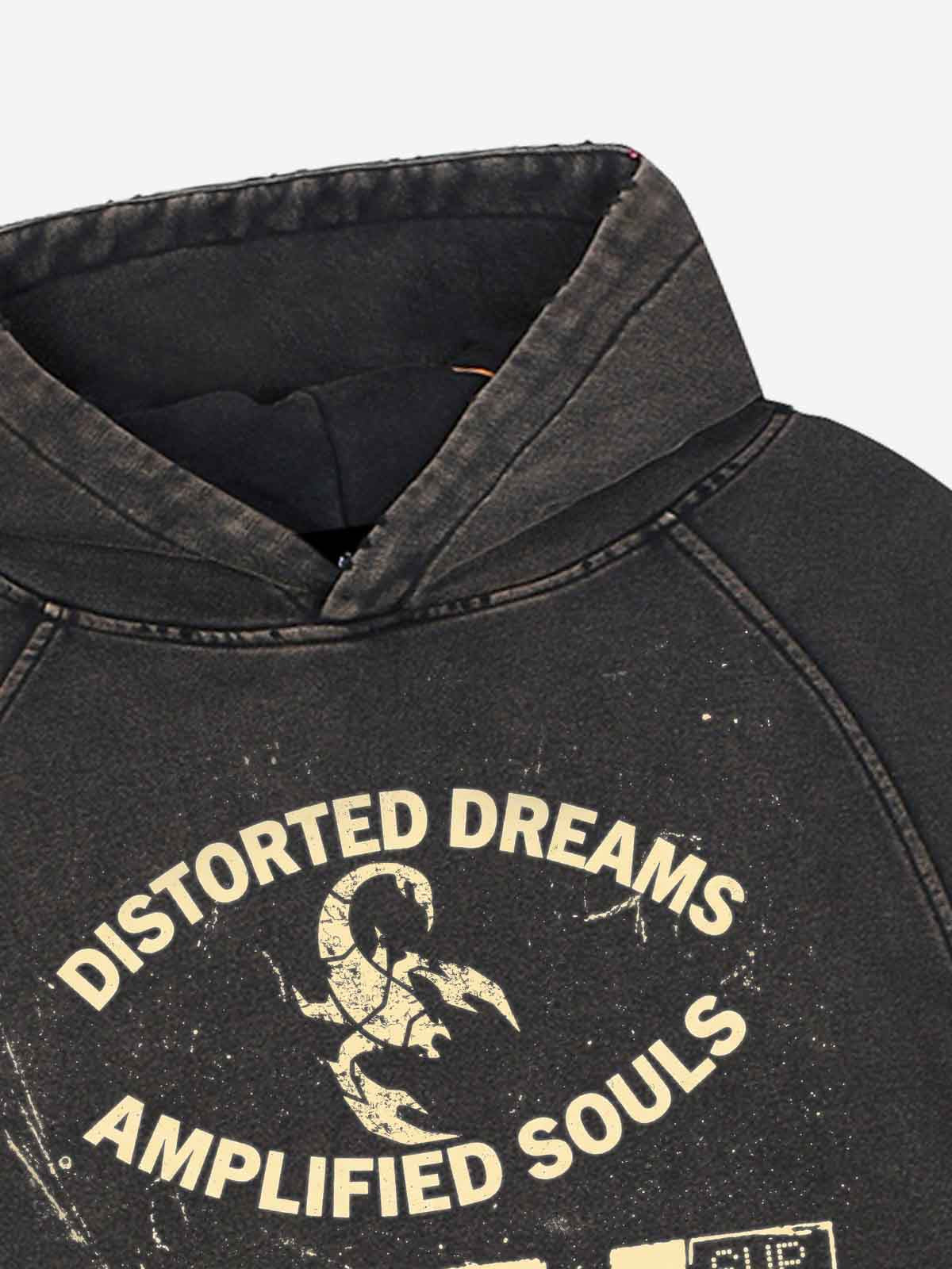 Moletom Pavtros Distorted Dreams Washed Hoodie