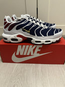 Nike Air Max Tn Paris